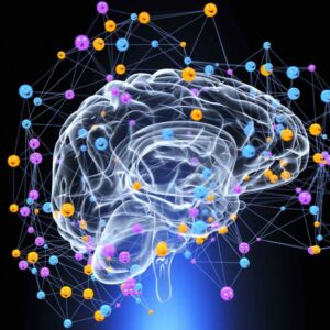 Main Neurodiversity types 