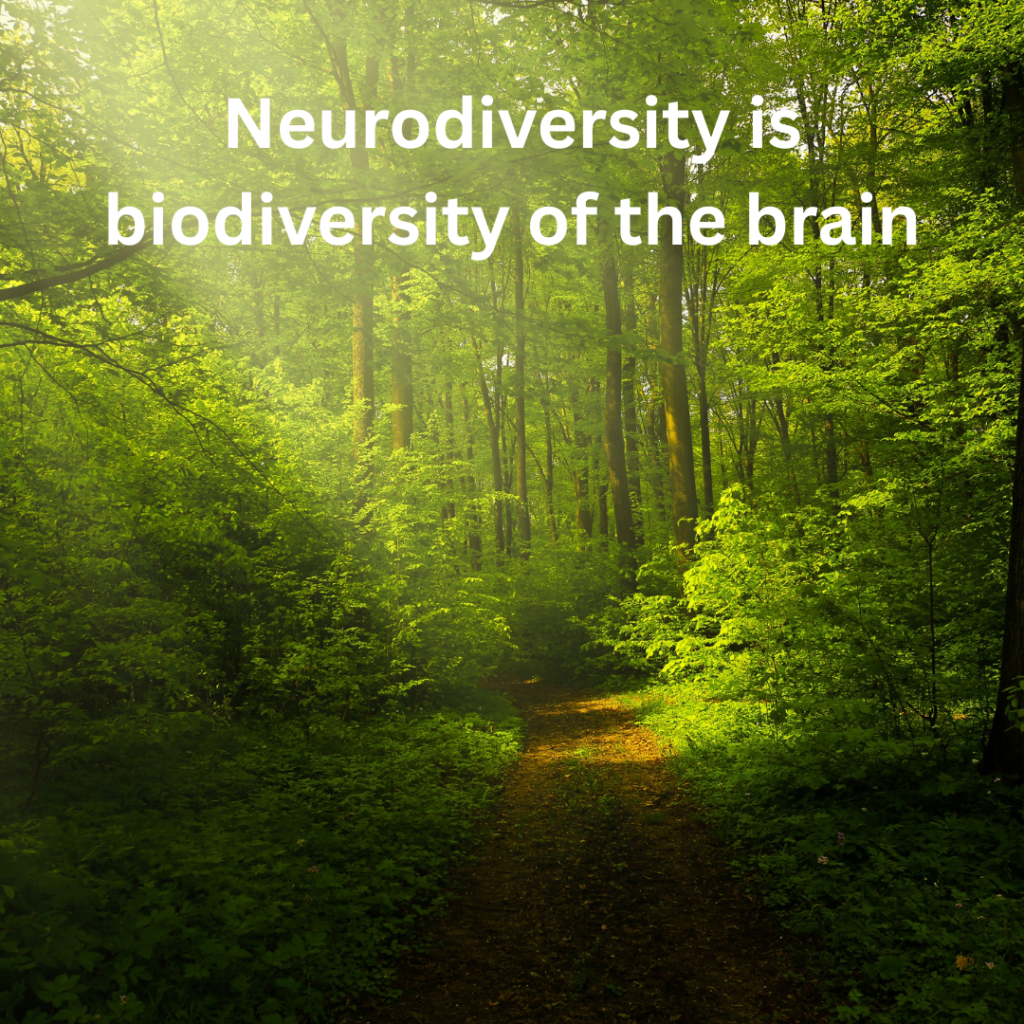 Neurodivergent symptoms